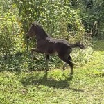 IMG_1852
